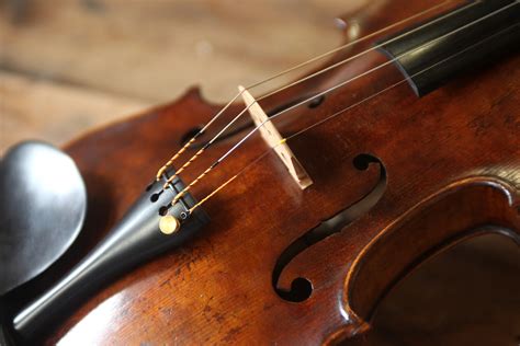 violin